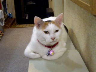 071002_2051~0001.jpg