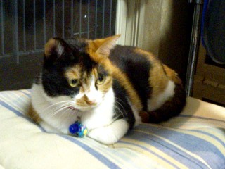 071002_2051~0002.jpg