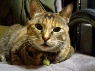 071003_2248~0002.jpg